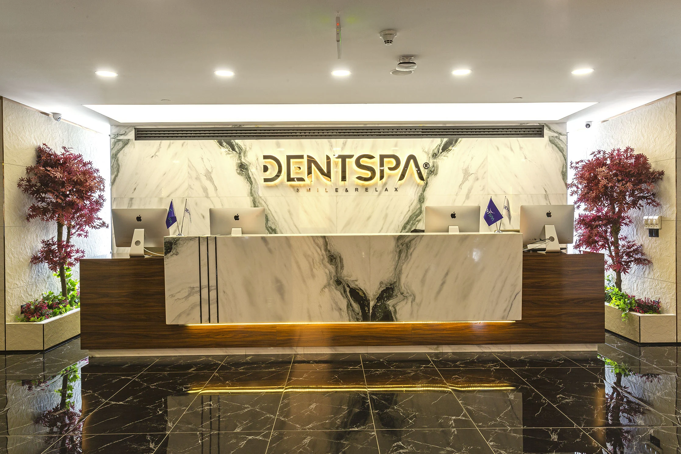 DentSpa reception and welcome area